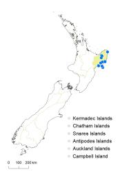 Veronica tairawhiti distribution map based on databased records at AK, CHR & WELT.
 Image: K.Boardman © Landcare Research 2022 CC-BY 4.0